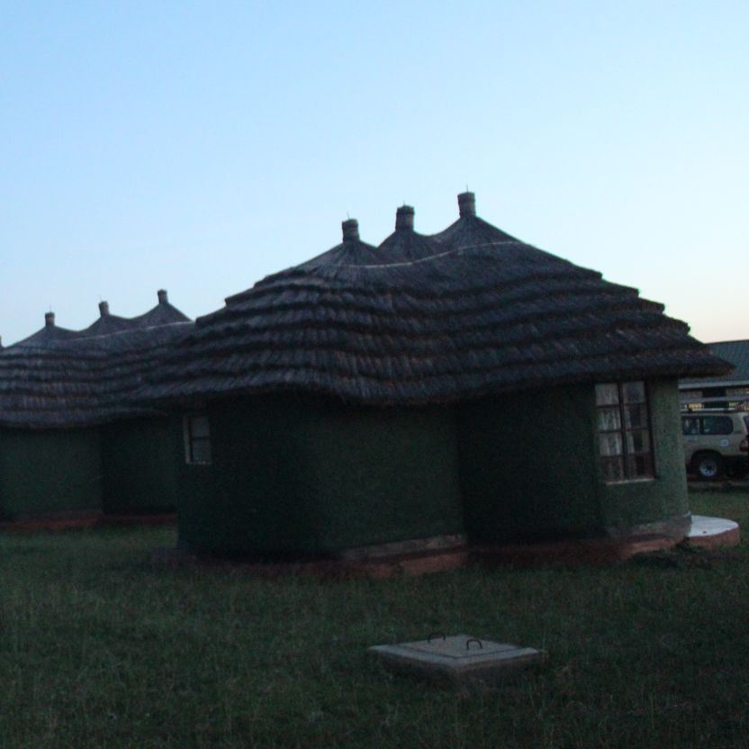 A row of green rondavel bandas with thatched roofs at Apoka Rest Camp