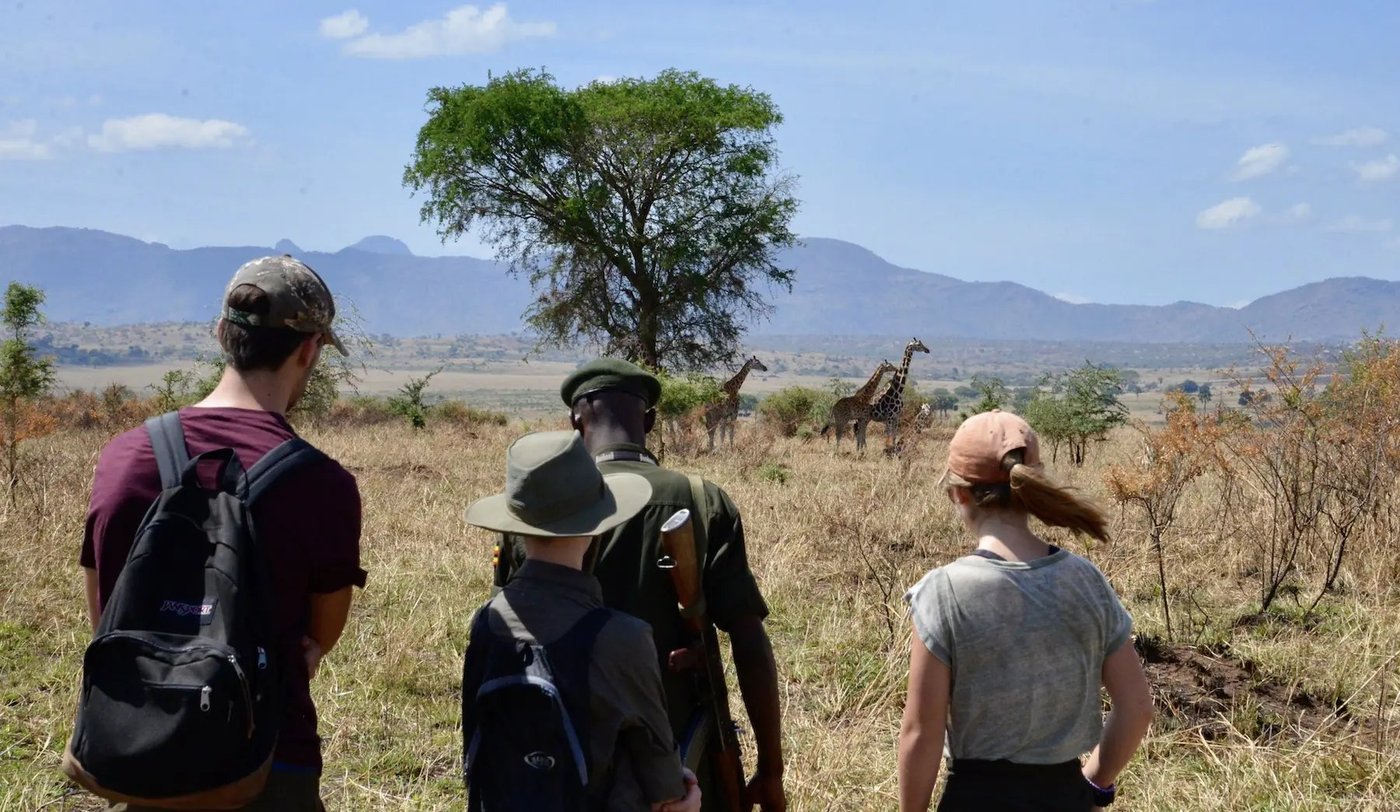 Gäste beobachten Giraffen von einem felsigen Aussichtspunkt nahe Apoka Safari Lodge