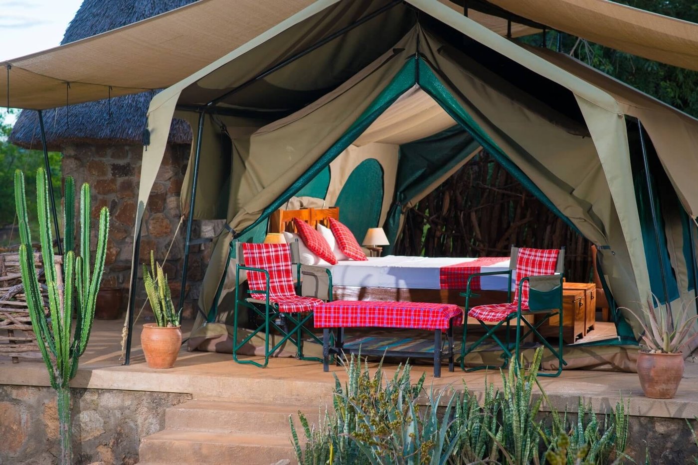 Die Veranda eines Zeltzimmers mit Kakteen und Campingstühlen in der Kidepo Savannah Lodge
